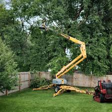 Best Emergency Tree Removal  in Warson Woods, MO